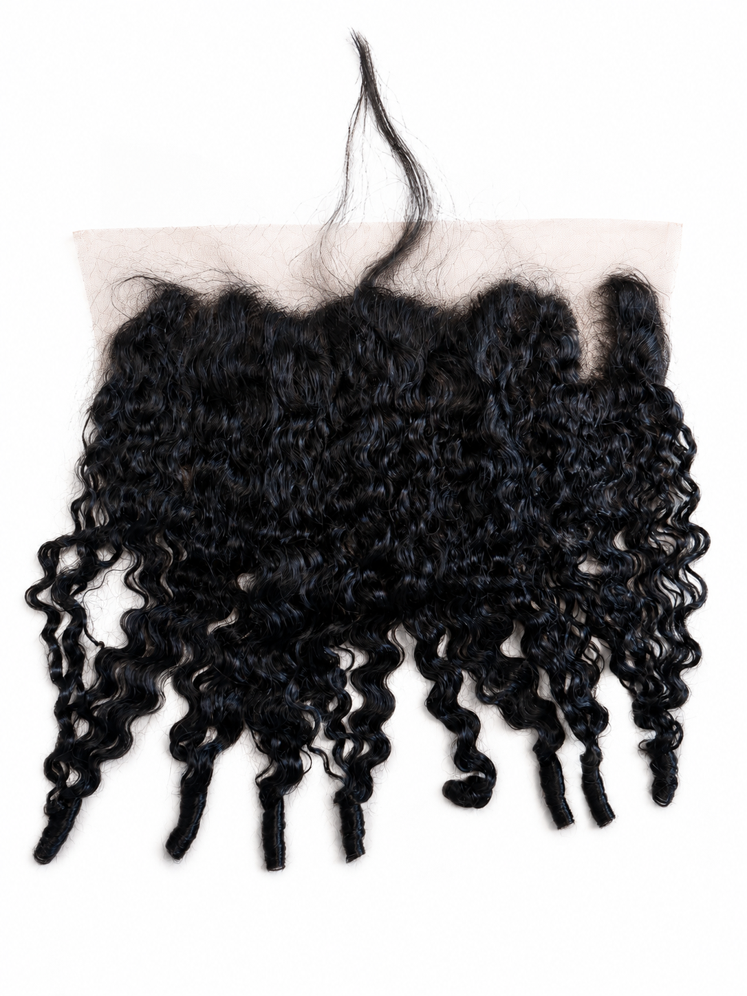 Burmese Curly Lace